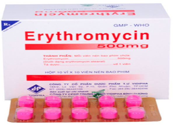 Erythromycin là thuốc điều trị các bệnh lý nhiễm vi khuẩn