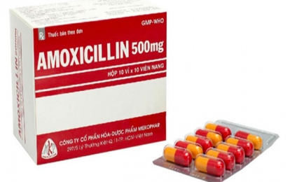 Amoxicillin thuốc điều trị nhiễm khuẩn và những lưu ý khi sử dụng