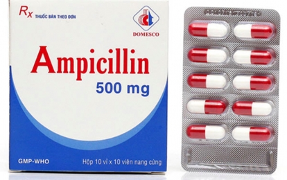 Ampicillin thuốc điều trị nhiễm khuẩn và những lưu ý khi sử dụng