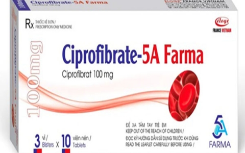 Ciprofibrate thuốc hạ lipid máu và những lưu ý khi sử dụng
