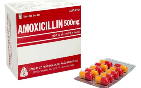 Amoxicillin thuốc điều trị nhiễm khuẩn và những lưu ý khi sử dụng