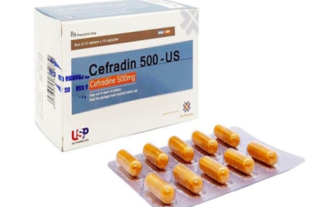 Cefradine thuốc điều trị nhiễm khuẩn và những lưu ý khi sử dụng