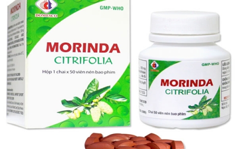 Morinda Citrifolia: Thuốc điều trị đau nhức, sưng khớp và những lưu ý khi sử dụng