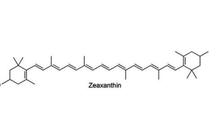 HẤP THỤ VÀ CHUYỂN HÓA ZEAXANTHIN