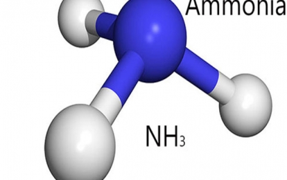 Xét nghiệm nồng độ NH3 máu: Đánh giá chức năng gan