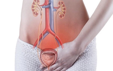 Bí quyết phòng chống và ngăn ngừa bệnh viêm tiết niệu ở phụ nữ