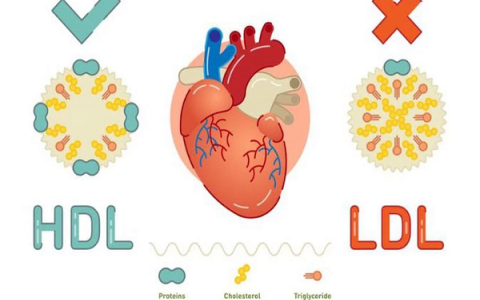  Những lưu ý khi sử dụng thuốc Statin hạ mỡ máu