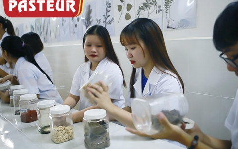 Môn Dược liệu học những gì và làm thế nào để học tốt môn này?