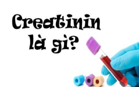Đánh giá sức khỏe thận thông qua xét nghiệm độ thanh thải creatinine