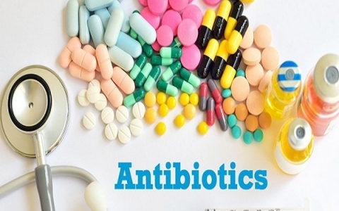 Lịch sử phát minh ra kháng sinh và tác dụng, vai trò của kháng sinh trong y học