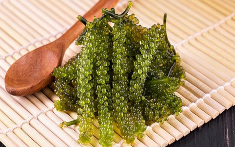 Vì sao rong nho là món quà quý giá từ biển?