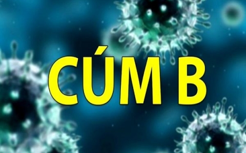 Những điều cần biết về virus cúm B