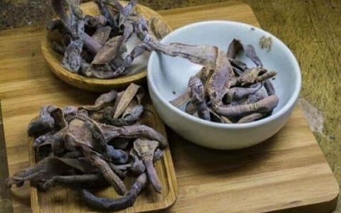 Giun đất (Địa long): Vị thuốc quý được ứng dụng trong y học