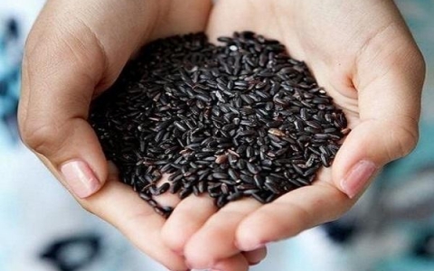Gạo đen – Lợi ích và Công dụng bất ngờ