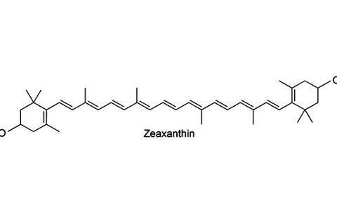 HẤP THỤ VÀ CHUYỂN HÓA ZEAXANTHIN