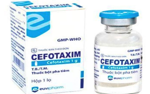 Cefotaxime thuốc điều trị nhiễm khuẩn và những lưu ý khi sử dụng