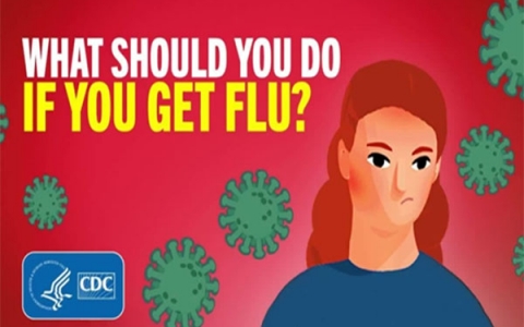 Mọi người cần nên làm gì nếu như bị cúm