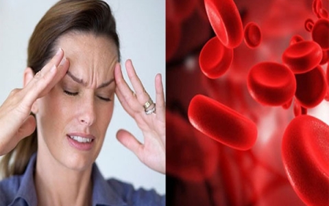 Thiếu máu có nguy hiểm hay không? Những thông tin về bệnh thiếu máu
