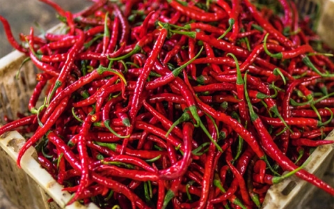 10 lợi ích sức khỏe tuyệt vời khi ăn ớt cay