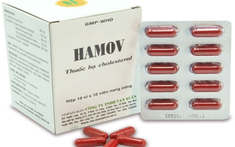 Hamov: Thuốc hạ cholesterol và những lưu ý khi sử dụng
