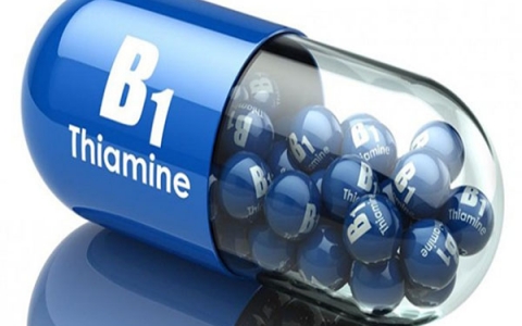 Vitamin B1 và vai trò quan trọng trong quá trình trao đổi chất