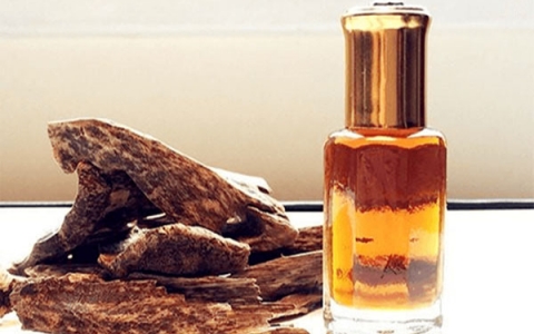 Tinh dầu trầm hương: Loại tinh dầu đắt đỏ và có tác dụng tốt cho sức khỏe