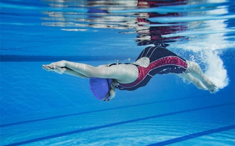 Khám phá những bí mật tuyệt vời về bơi lội mà bạn chưa biết đến