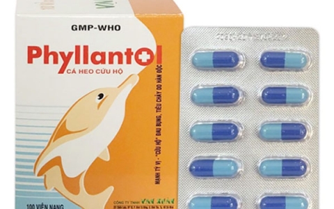 Phyllantol: Thuốc điều trị viêm gan và những lưu ý khi sử dụng