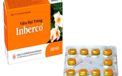 Inberco: Điều trị tiêu chảy, viêm đại tràng và những lưu ý khi sử dụng