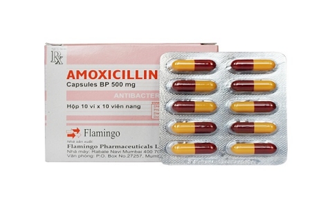 Amoxicillin Flamingo: Công dụng và những lưu ý khi dùng