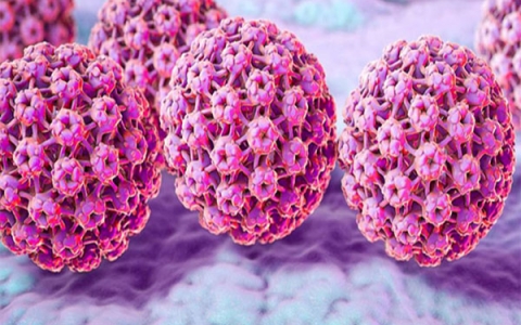 Xét nghiệm HPV: Đánh giá nguy cơ và phòng ngừa ung thư cổ tử cung