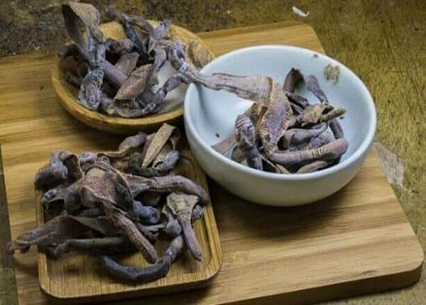 vị thuốc địa long