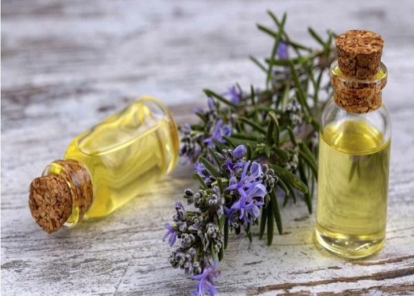 lợi ích của hương thảo 2