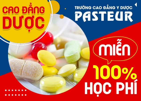 Cao-dang-duoc-mien-100-ho